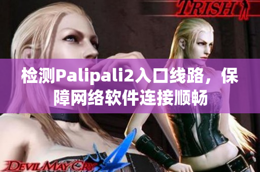 檢測Palipali2入口線路，保障網絡軟件連接順暢