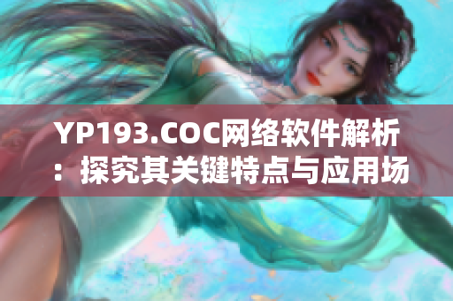 YP193.COC網絡軟件解析：探究其關鍵特點與應用場景