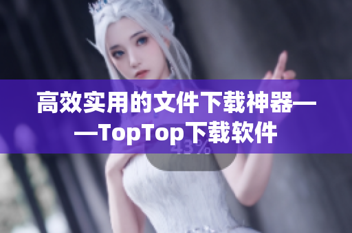 高效實用的文件下載神器——TopTop下載軟件