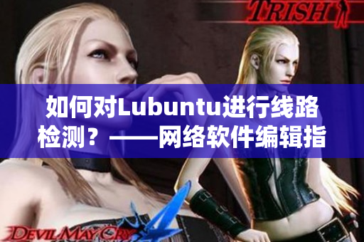 如何對Lubuntu進行線路檢測？——網絡軟件編輯指南