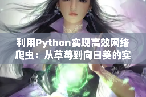 利用Python實現高效網絡爬蟲：從草莓到向日葵的實戰技巧分享