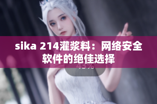 sika 214灌漿料：網絡安全軟件的絕佳選擇