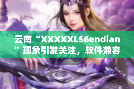 云南“XXXXXL56endian”現象引發關注，軟件兼容性問題成焦點