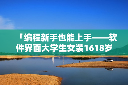 「編程新手也能上手——軟件界面大學生女裝1618歲！」