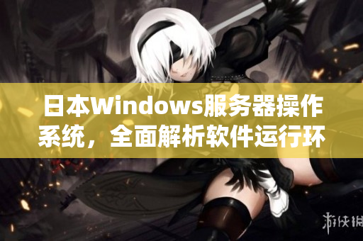 日本Windows服務器操作系統，全面解析軟件運行環境