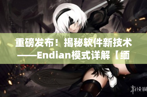 重磅發布！揭秘軟件新技術——Endian模式詳解【緬北14may18】