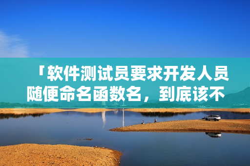 「軟件測試員要求開發人員隨便命名函數名，到底該不該接受？」