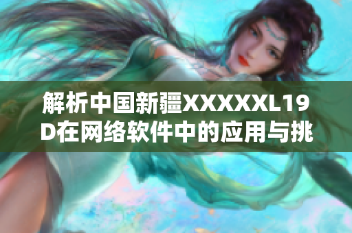 解析中國新疆XXXXXL19D在網絡軟件中的應用與挑戰