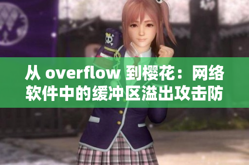 從 overflow 到櫻花：網絡軟件中的緩沖區溢出攻擊防范