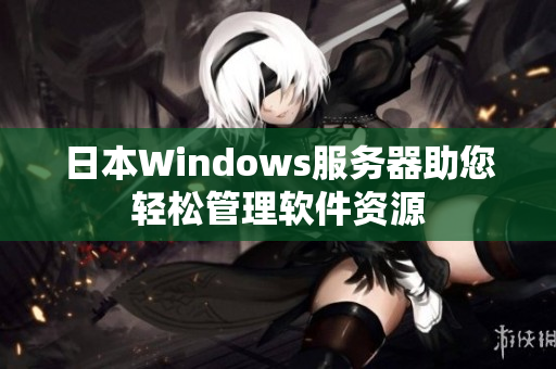 日本Windows服務器助您輕松管理軟件資源