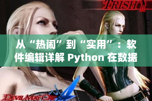 從“熱鬧”到“實(shí)用”：軟件編輯詳解 Python 在數(shù)據(jù)分析中的應(yīng)用