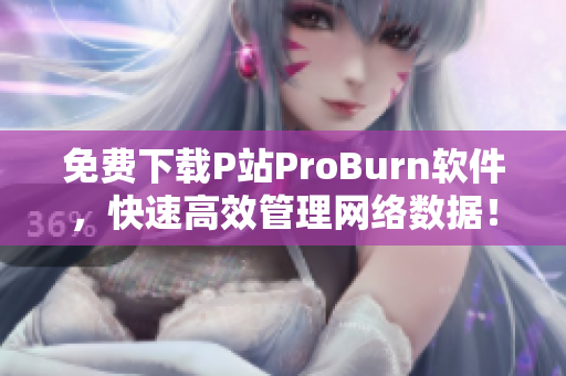 免費下載P站ProBurn軟件，快速高效管理網(wǎng)絡(luò)數(shù)據(jù)！