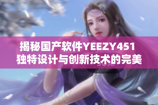 揭秘國產軟件YEEZY451 獨特設計與創新技術的完美結合