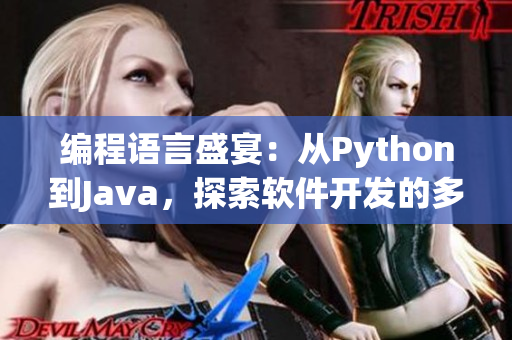 編程語言盛宴：從Python到Java，探索軟件開發(fā)的多樣性