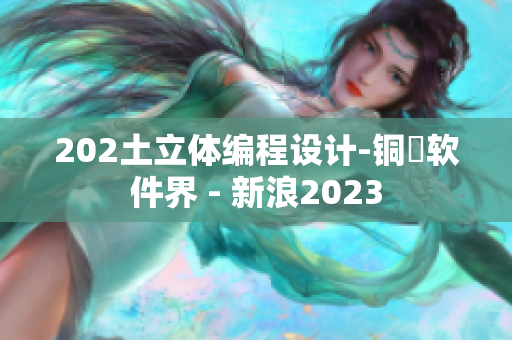 202土立體編程設(shè)計(jì)-銅質(zhì)軟件界 - 新浪2023