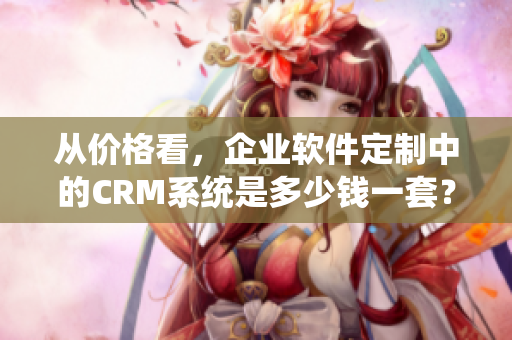 從價格看，企業軟件定制中的CRM系統是多少錢一套？