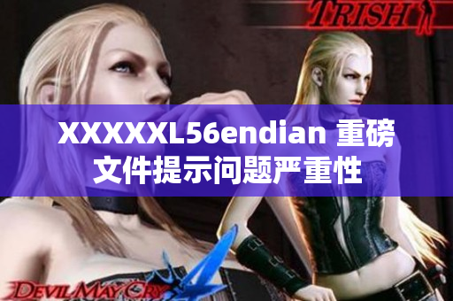 XXXXXL56endian 重磅文件提示問題嚴重性