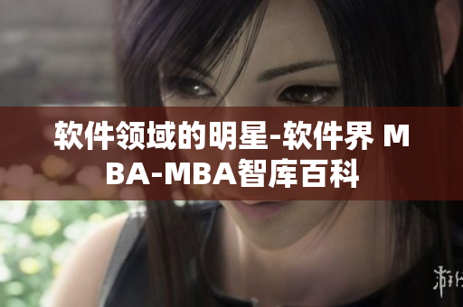 軟件領(lǐng)域的明星-軟件界 MBA-MBA智庫百科