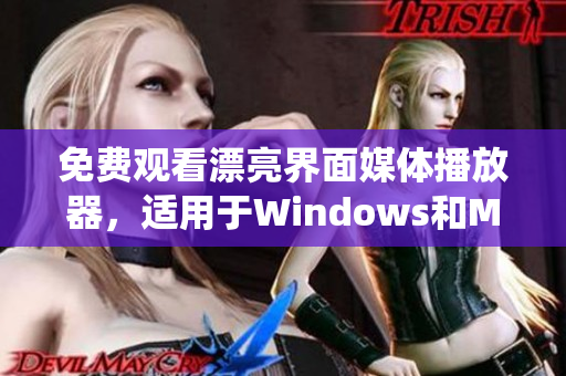 免費觀看漂亮界面媒體播放器，適用于Windows和Mac操作系統(tǒng)