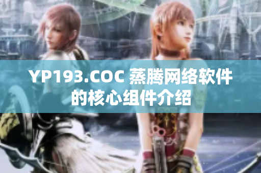 YP193.COC 蒸騰網絡軟件的核心組件介紹