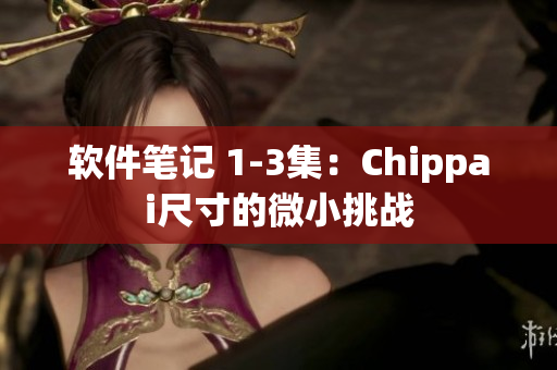 軟件筆記 1-3集：Chippai尺寸的微小挑戰