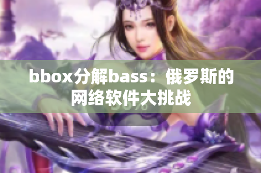 bbox分解bass：俄羅斯的網絡軟件大挑戰