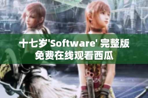 十七歲'Software' 完整版免費在線觀看西瓜