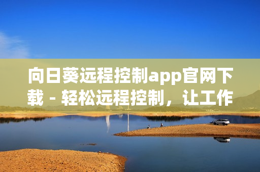 向日葵遠(yuǎn)程控制app官網(wǎng)下載 - 輕松遠(yuǎn)程控制，讓工作更高效