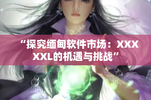 “探究緬甸軟件市場：XXXXXL的機遇與挑戰”