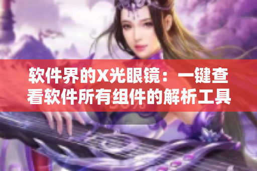 軟件界的X光眼鏡：一鍵查看軟件所有組件的解析工具