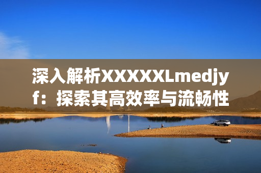 深入解析XXXXXLmedjyf：探索其高效率與流暢性