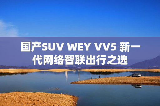 國產SUV WEY VV5 新一代網絡智聯出行之選