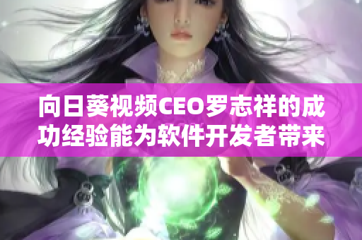 向日葵視頻CEO羅志祥的成功經驗能為軟件開發者帶來什么啟示？——總結與分析