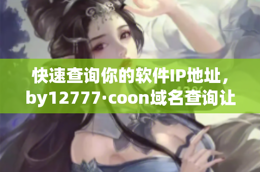 快速查詢你的軟件IP地址，by12777·coon域名查詢讓你更方便