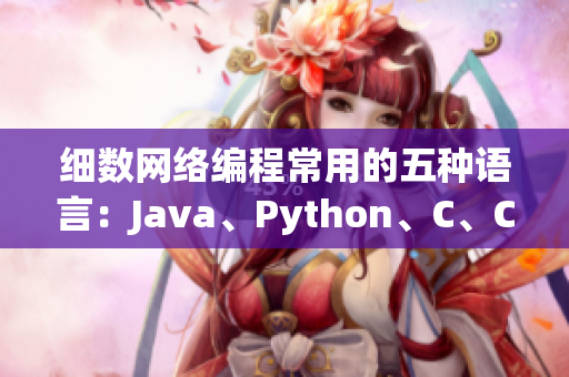 細數網絡編程常用的五種語言：Java、Python、C、C++、C#