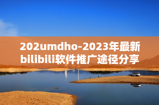 202umdho-2023年最新bilibili軟件推廣途徑分享