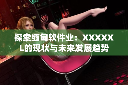 探索緬甸軟件業：XXXXXL的現狀與未來發展趨勢