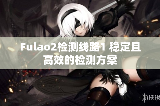 Fulao2檢測線路1 穩定且高效的檢測方案