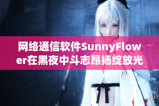 網絡通信軟件SunnyFlower在黑夜中斗志昂揚綻放光芒