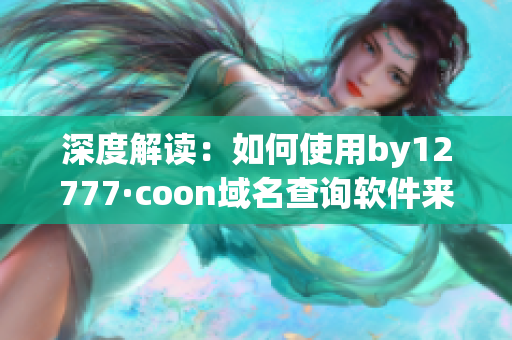 深度解讀：如何使用by12777·coon域名查詢軟件來提高網站安全？