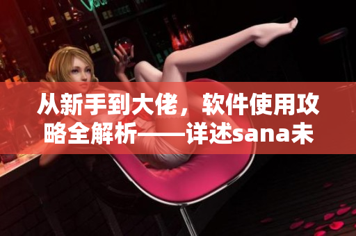 從新手到大佬，軟件使用攻略全解析——詳述sana未帶歌詞