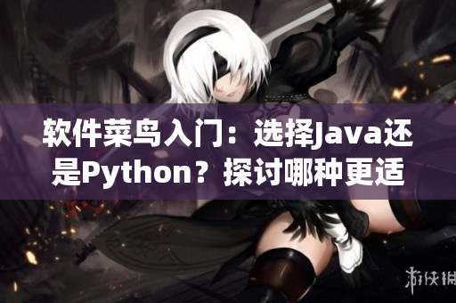 軟件菜鳥入門：選擇Java還是Python？探討哪種更適合初學(xué)者