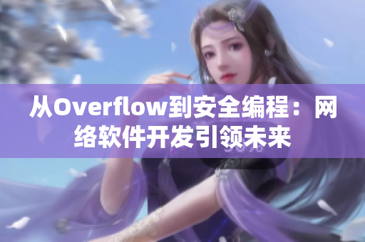 從Overflow到安全編程：網絡軟件開發引領未來