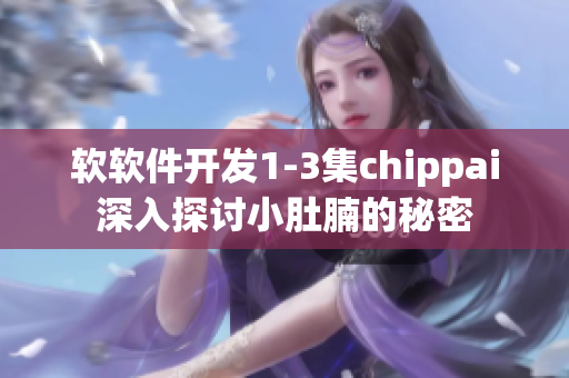 軟軟件開發1-3集chippai深入探討小肚腩的秘密