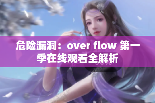 危險漏洞：over flow 第一季在線觀看全解析