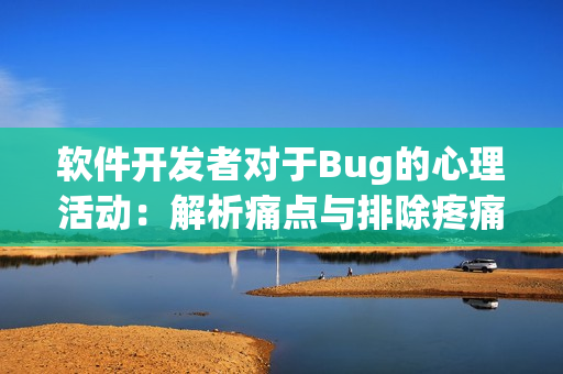 軟件開發者對于Bug的心理活動：解析痛點與排除疼痛