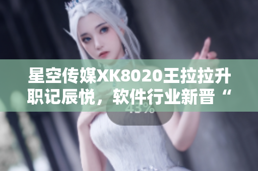 星空傳媒XK8020王拉拉升職記辰悅，軟件行業(yè)新晉“升級女王”