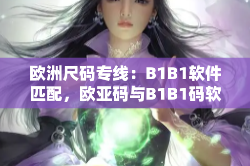 歐洲尺碼專線：B1B1軟件匹配，歐亞碼與B1B1碼軟件對接