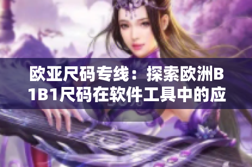 歐亞尺碼專線：探索歐洲B1B1尺碼在軟件工具中的應用之道