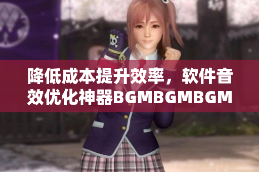 降低成本提升效率，軟件音效優化神器BGMBGMBGM的超值價格